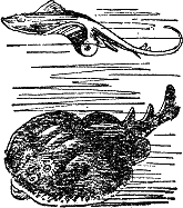 Двадцать тысяч лье под водой i_035.png