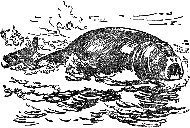Двадцать тысяч лье под водой i_040.png