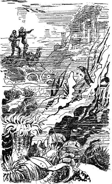 Двадцать тысяч лье под водой i_046.png