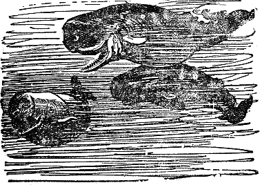 Двадцать тысяч лье под водой i_050.png