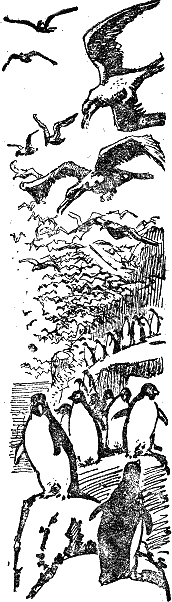 Двадцать тысяч лье под водой i_053.png