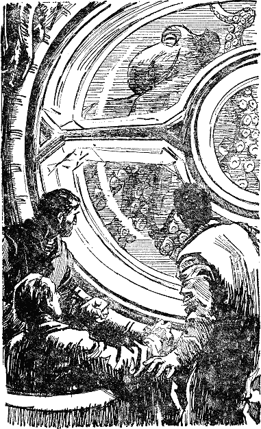Двадцать тысяч лье под водой i_056.png