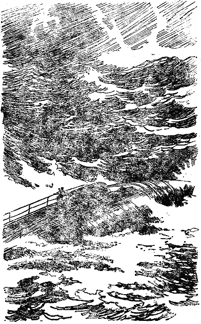 Двадцать тысяч лье под водой i_058.png