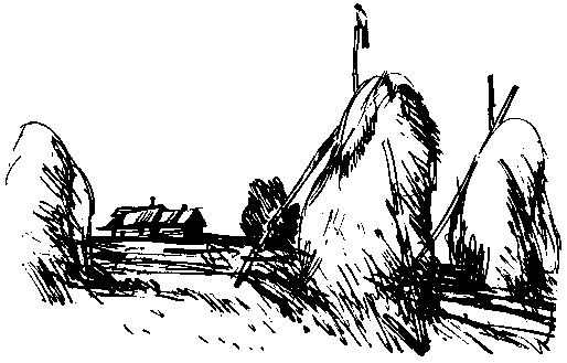 За грибным царем (сборник) (с илл.) pic_23.png