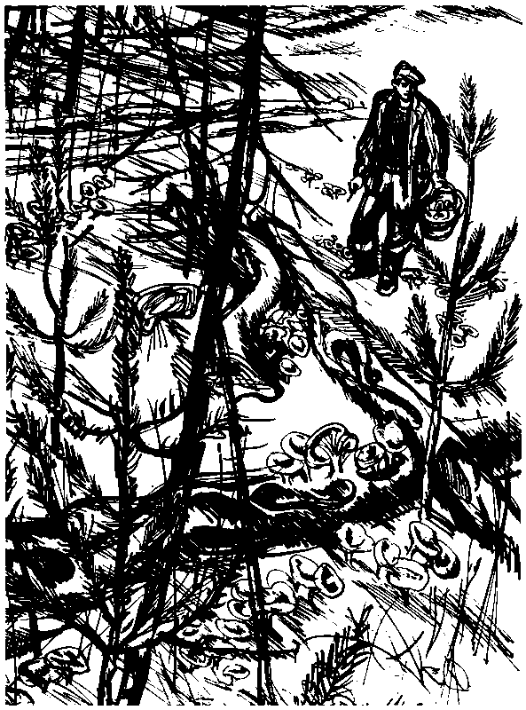За грибным царем (сборник) (с илл.) pic_28.png