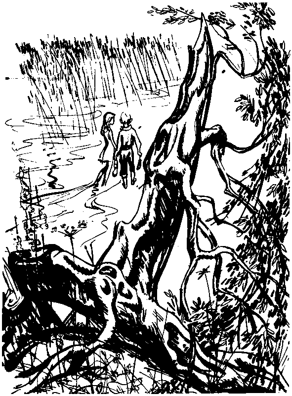 За грибным царем (сборник) (с илл.) pic_10.png