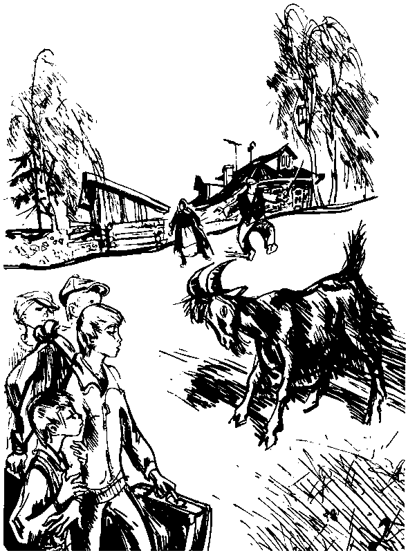 За грибным царем (сборник) (с илл.) pic_19.png