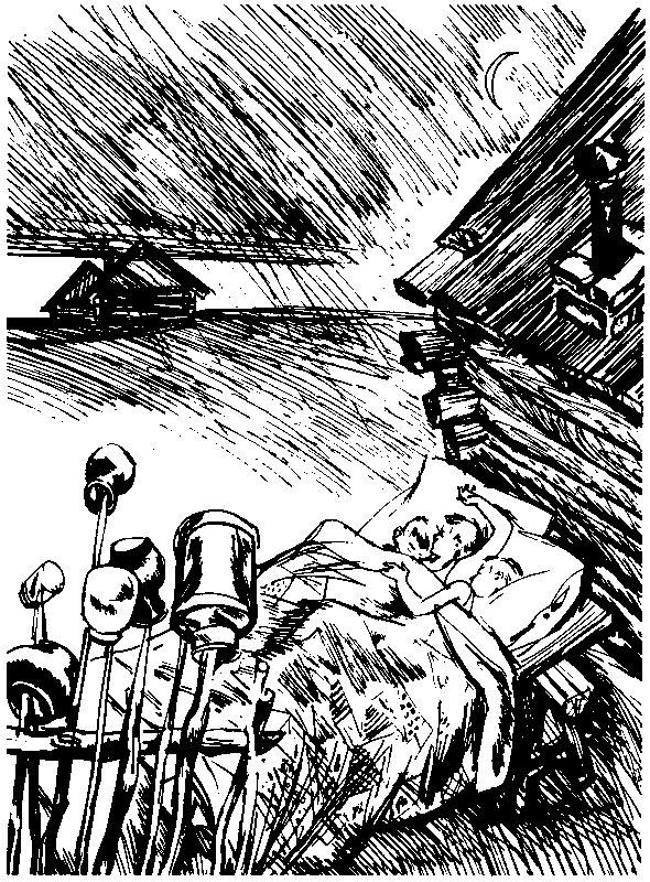 За грибным царем (сборник) (с илл.) pic_20.png