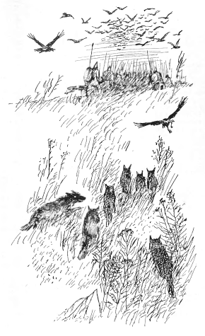Гості з греків p13.png