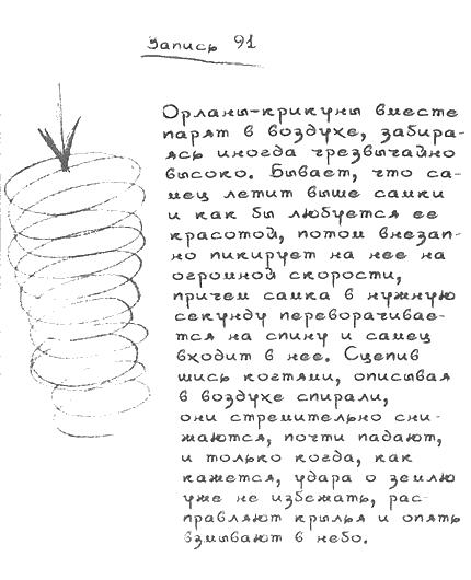 Квантовая теория любви i_025.png
