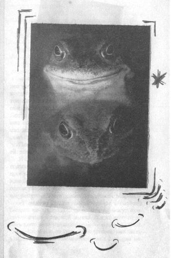 Квантовая теория любви _001951.jpg