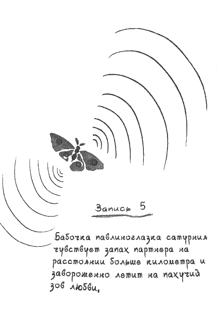 Квантовая теория любви i_028.png