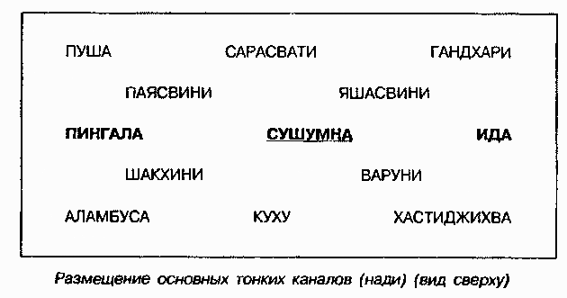 Энциклопедия йоги pic_134.png