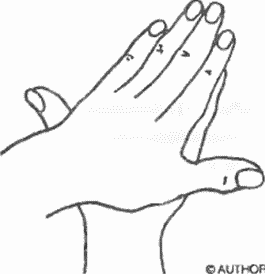 Энциклопедия йоги pic_150.png