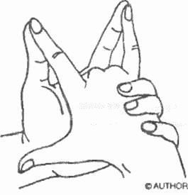 Энциклопедия йоги pic_151.png