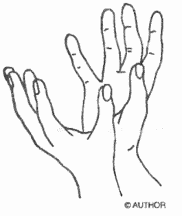 Энциклопедия йоги pic_152.png