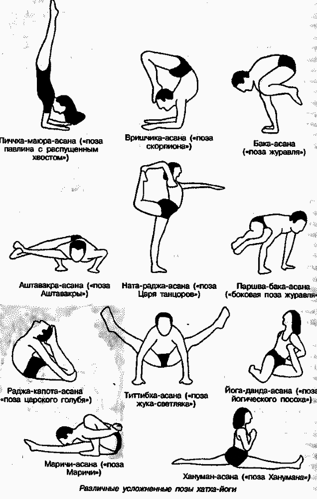 Энциклопедия йоги pic_173.png
