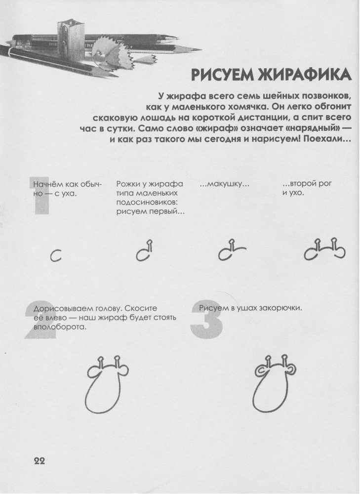 Как нарисовать любую зверюшку за 30 секунд _23.jpg
