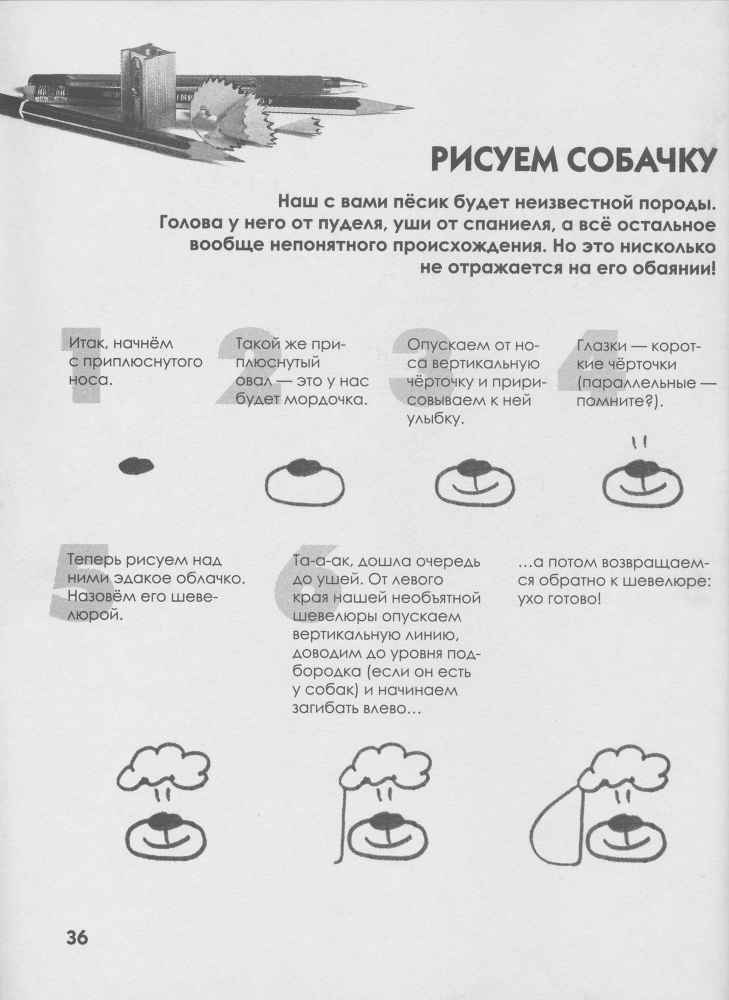 Как нарисовать любую зверюшку за 30 секунд _37.jpg