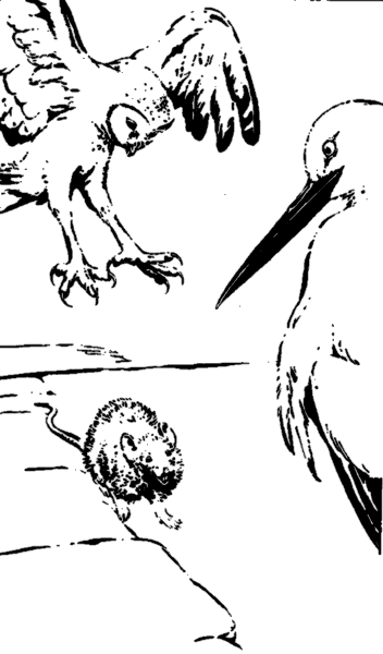 Келе i_012.png