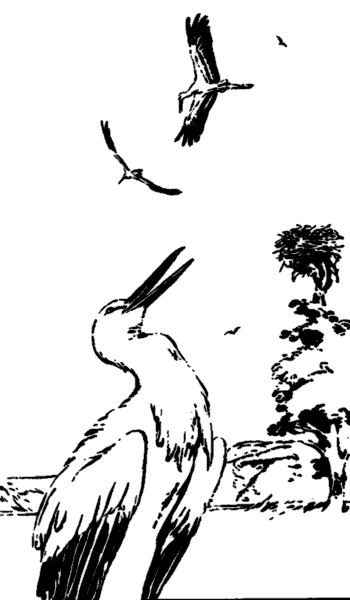Келе i_016.png