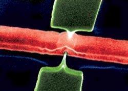 Журнал «Вокруг Света» №04 за 2007 год TAG_img_cmn_2010_09_21_005_jpg12624