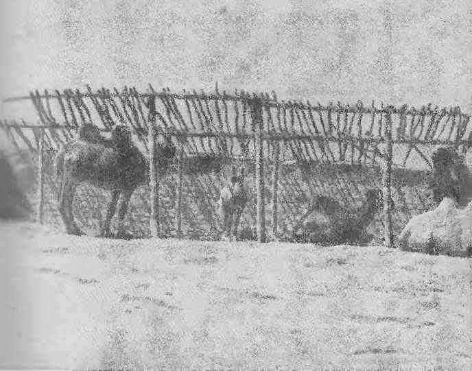 По следам кочевников. Монголия глазами этнографа i_029.jpg