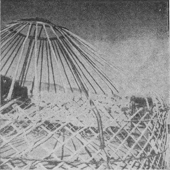 По следам кочевников. Монголия глазами этнографа i_037.jpg