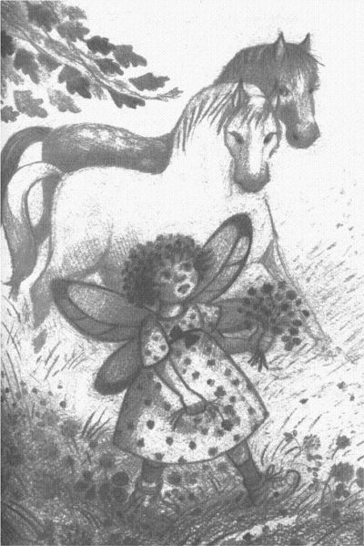 Пендервики berds0032.jpg