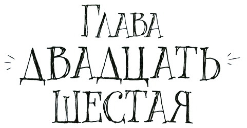 Спасибо Уинн-Дикси i_102.jpg