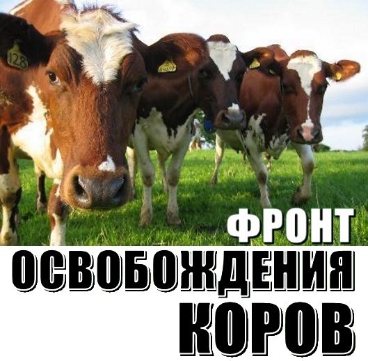 Игра в подкидную войну _12.jpg