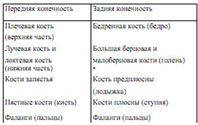 101 ключевая идея: Эволюция AUTO_fb_img_loader_1