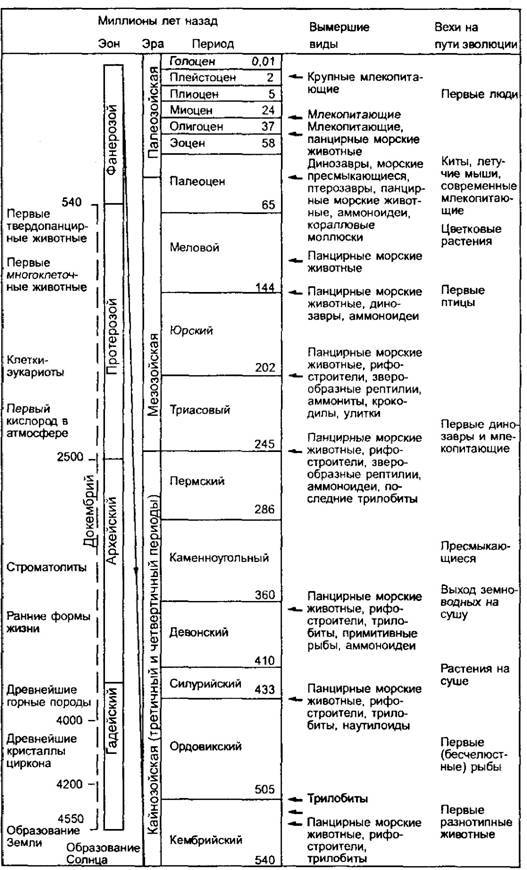 101 ключевая идея: Эволюция AUTO_fb_img_loader_0