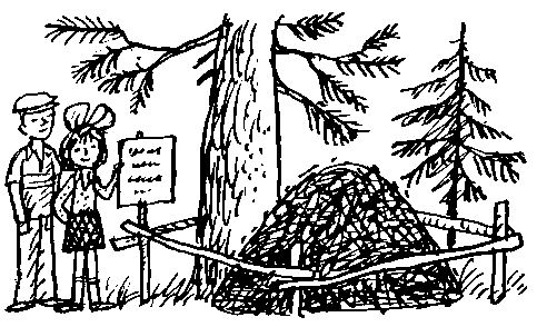 Целебный камень (сборник) pic_26.png