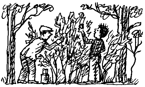 Целебный камень (сборник) pic_29.png