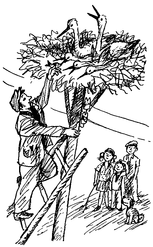 Целебный камень (сборник) pic_48.png