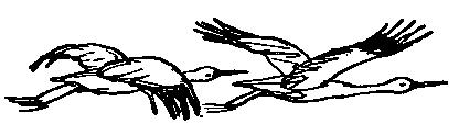 Целебный камень (сборник) pic_49.png