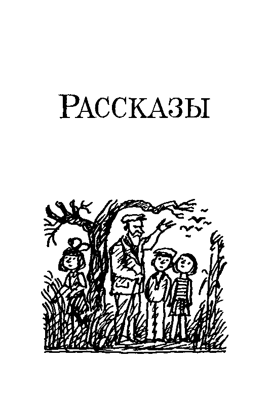 Целебный камень (сборник) pic_12.png
