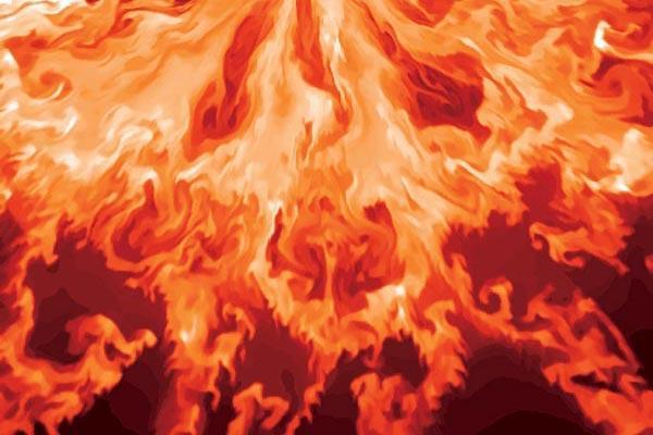 Журнал «Вокруг Света» №04 за 2008 год TAG_img_cmn_2008_03_18_008_jpg84093