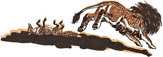 Монгольские сказки (с илл.) i_056.jpg