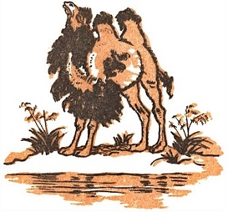 Монгольские сказки (с илл.) i_065.jpg