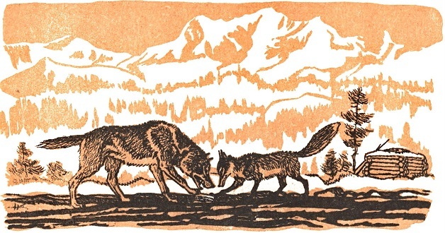 Монгольские сказки (с илл.) i_066.jpg