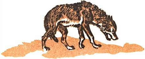 Монгольские сказки (с илл.) i_069.jpg