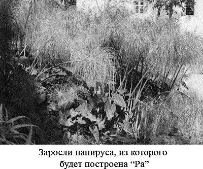 По следам Адама i_017.jpg