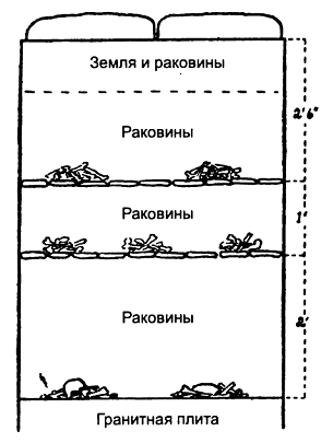 Друиды pic_28.png