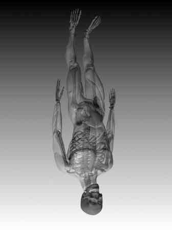 3DSMax.Стефани Рис аним персонажей _2.jpg