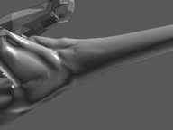 3DSMax.Стефани Рис аним персонажей _287.jpg