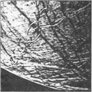 Запрещенная история i_011.jpg