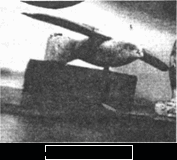 Запрещенная история i_045.png