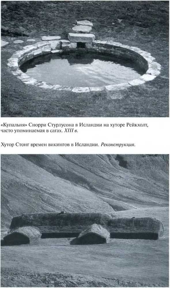 Повседневная жизнь викингов IX–XI века i_011.jpg